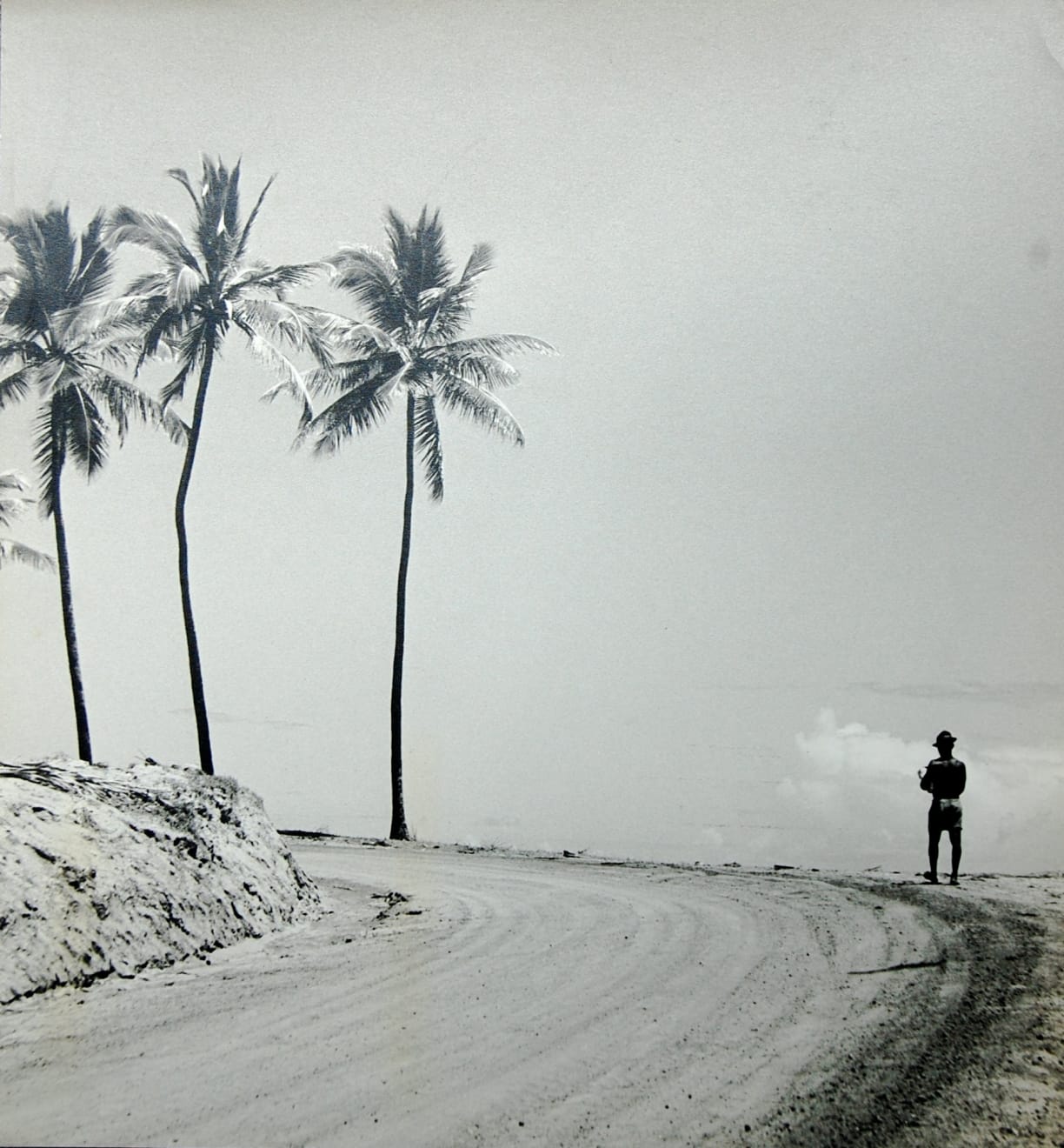 Gaspar Gasparian, Tropical, 1946