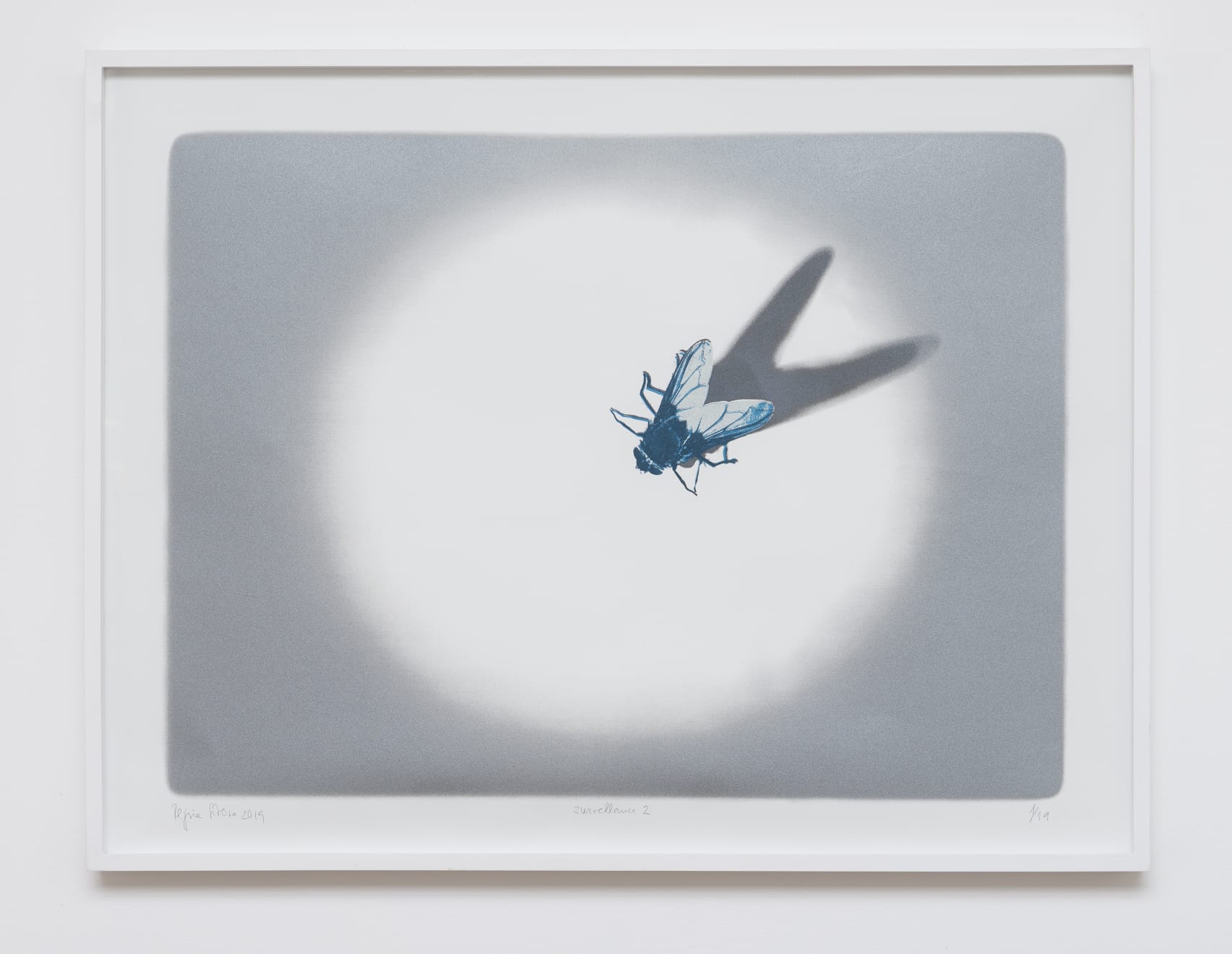 Regina Silveira, Surveillance, 2019