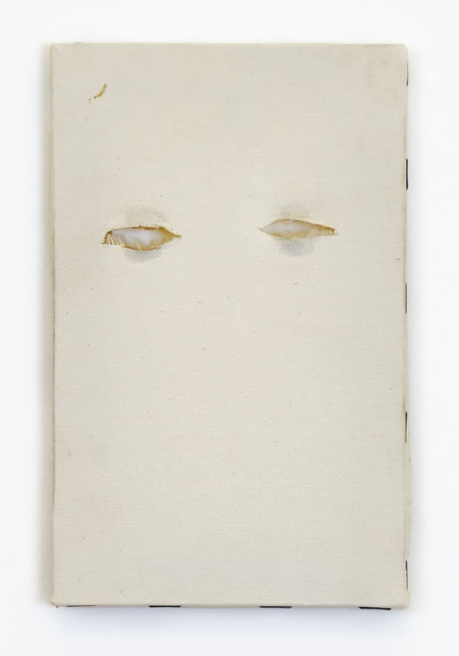 Fernando Zarif, Operação Plástica / Chirurgie Esthétique (Portrait), 1997