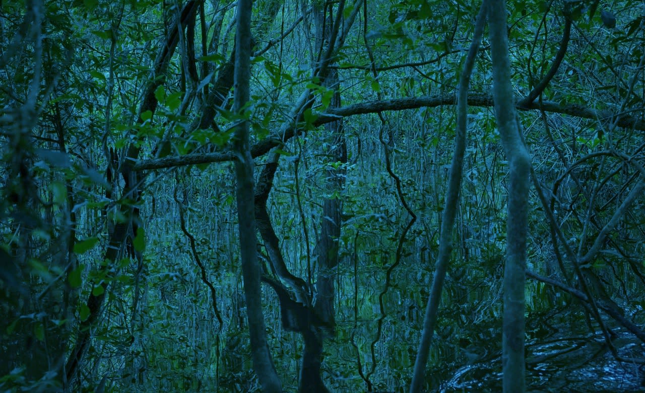 Caio Reisewitz, Ambé, 2021