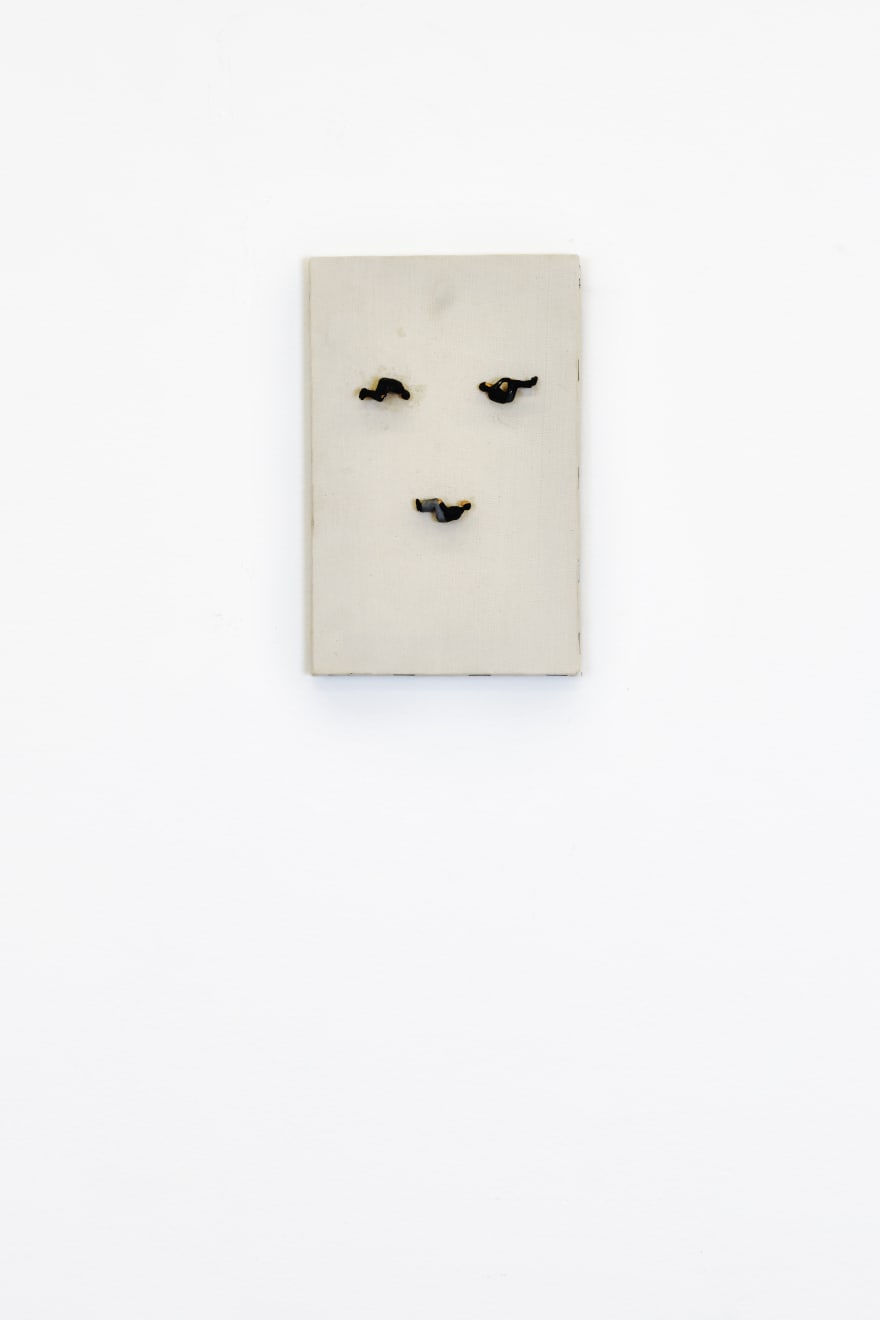 Fernando Zarif, Operação Plástica / Chirurgie Esthétique (Portrait), 1997