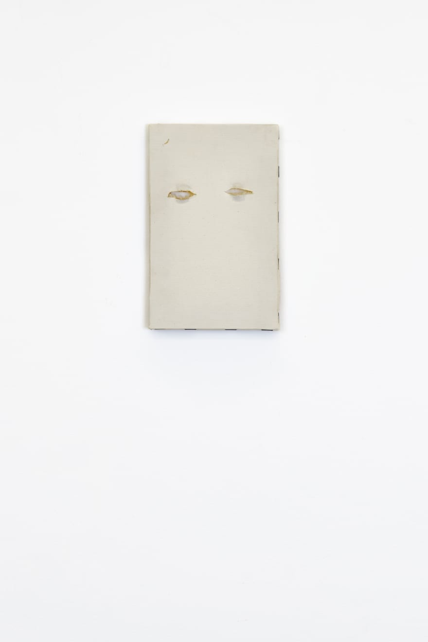 Fernando Zarif, Operação Plástica / Chirurgie Esthétique (Portrait), 1997