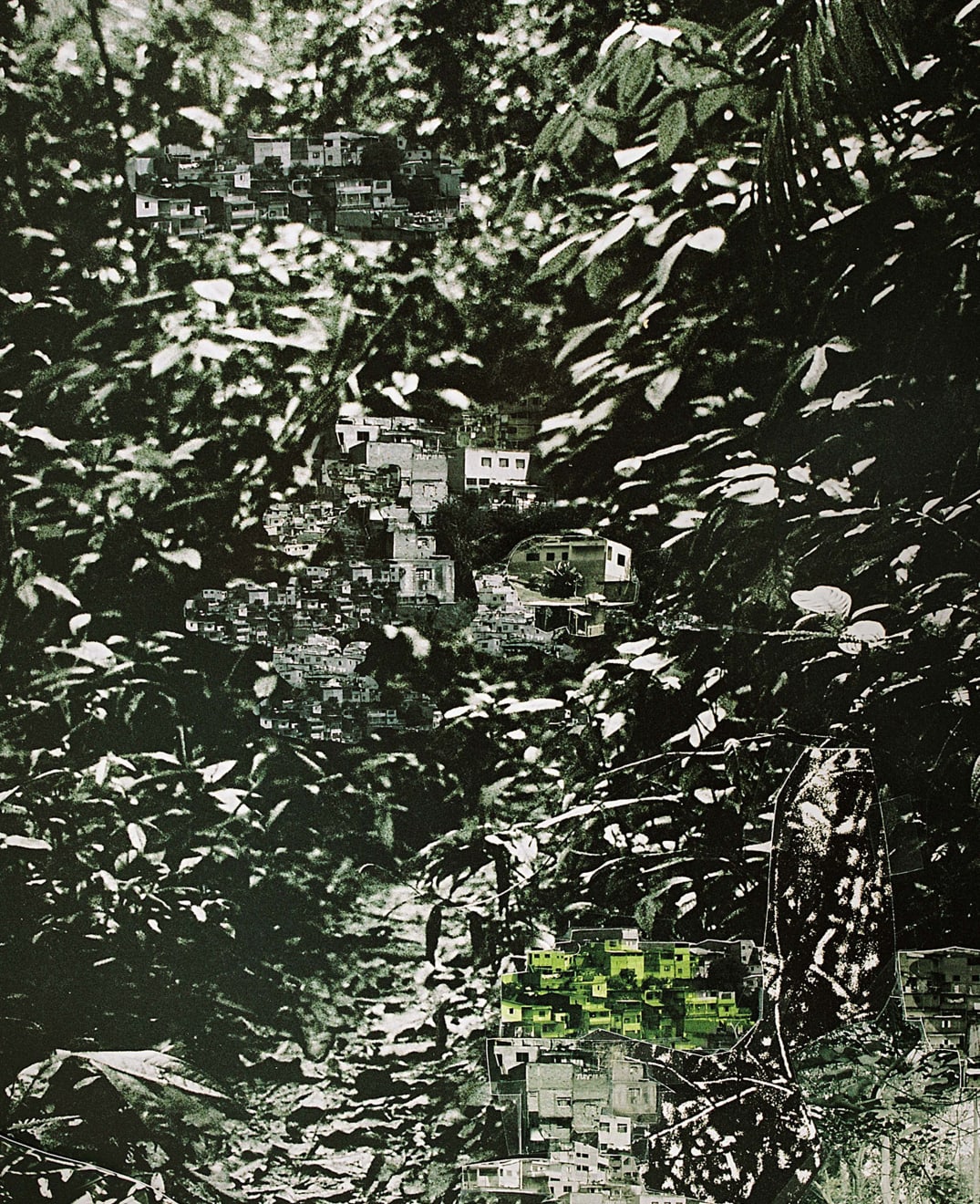 Caio Reisewitz, Ubitinga, 2009