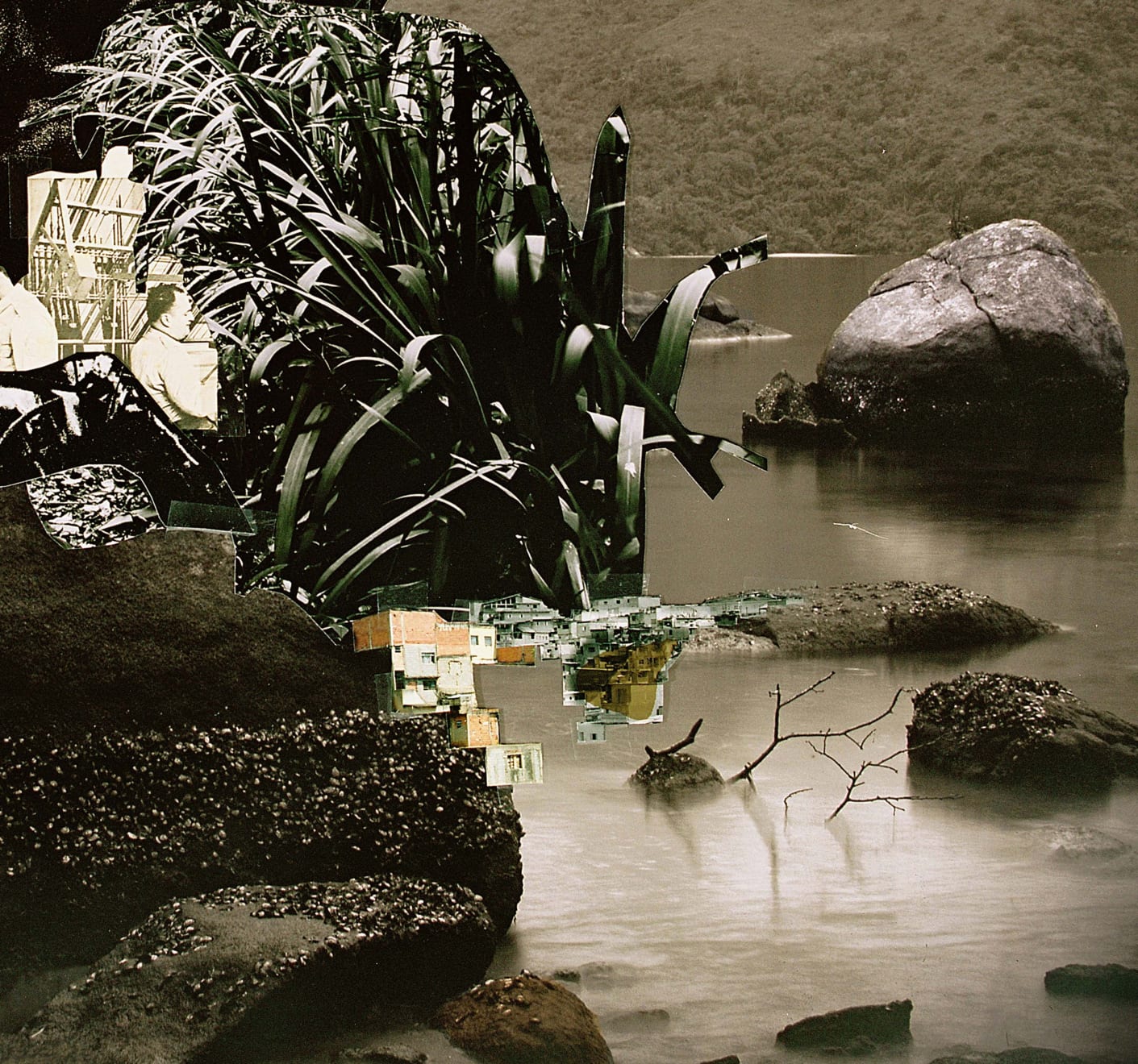 Caio Reisewitz, Tababuia, 2009