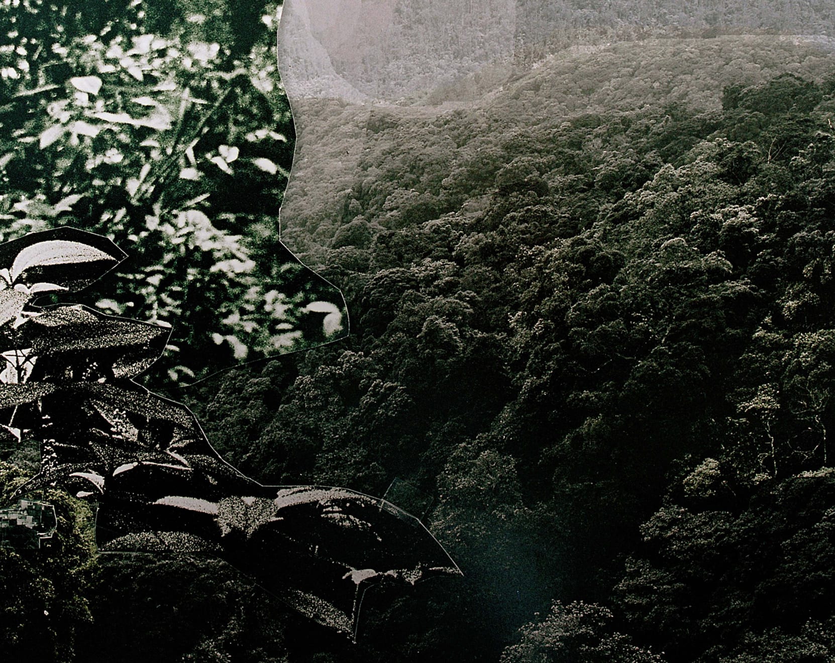 Caio Reisewitz, Curahy, 2009