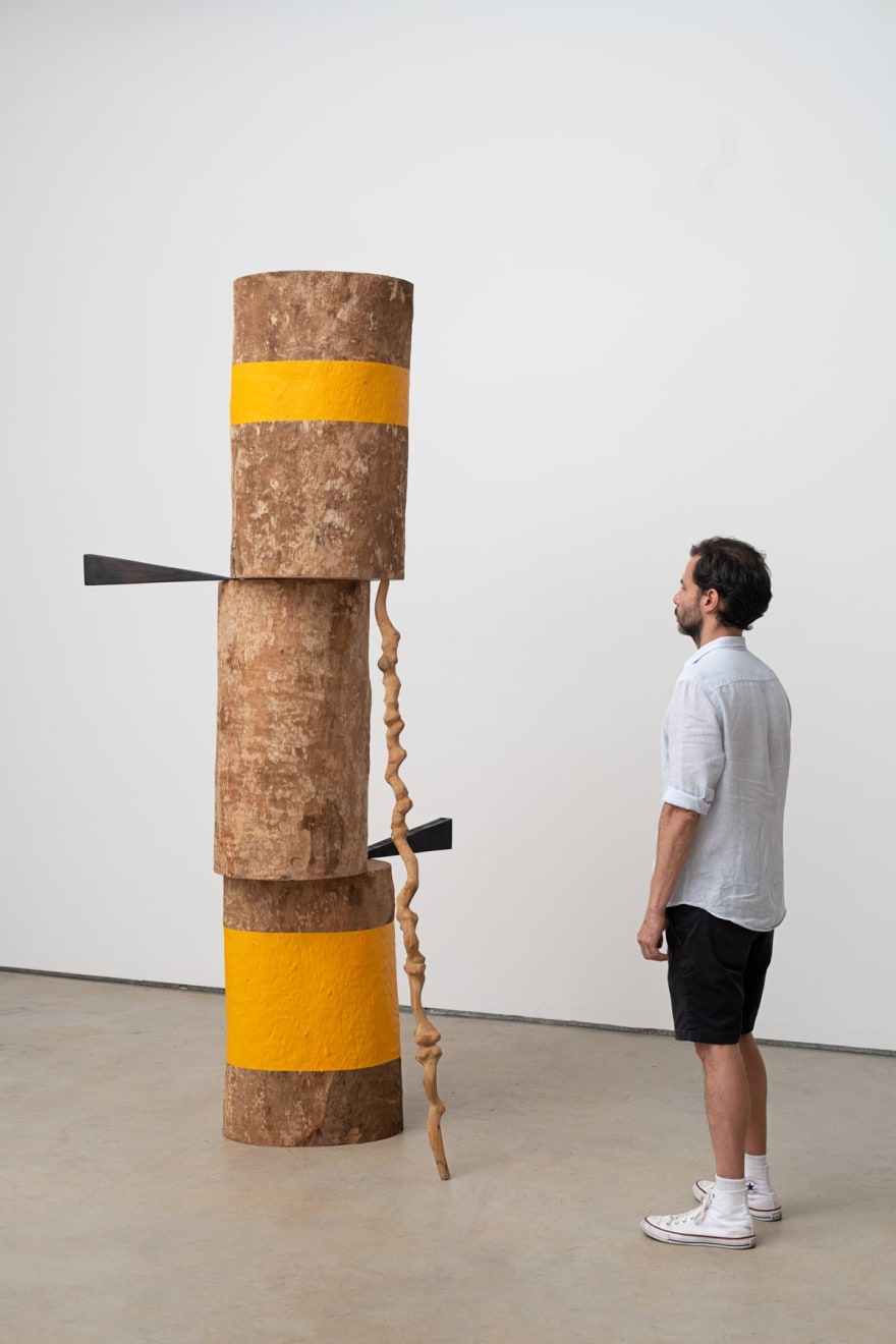 Afonso Tostes, Sem título | Untitled, 2023