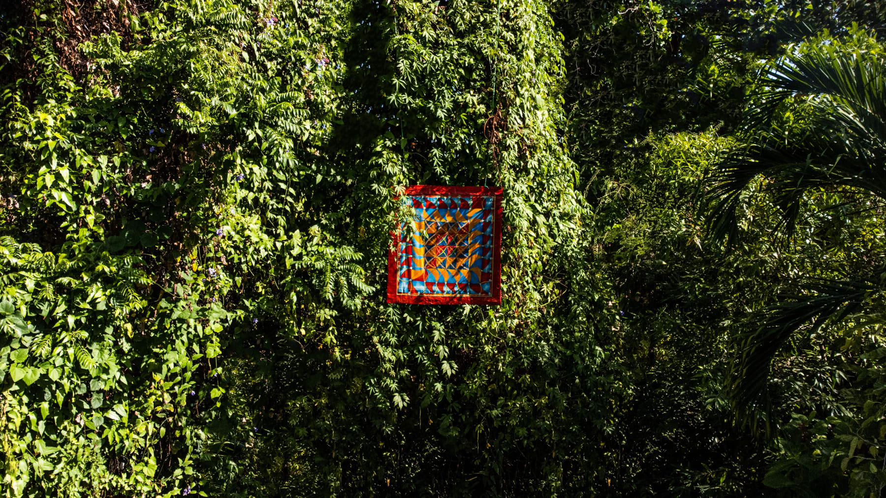 Delson Uchôa, “Maxixe”, 1989/2002