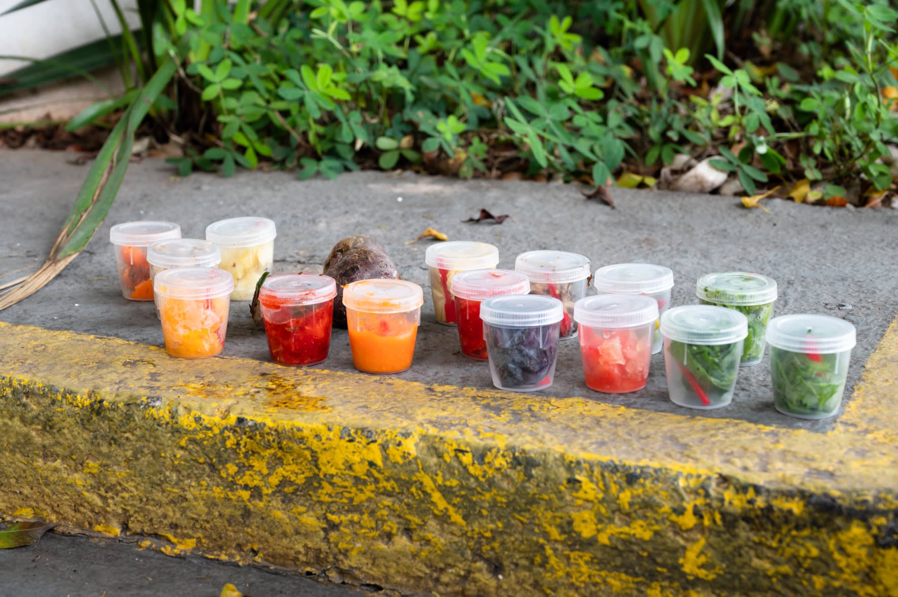 Adán Vallecillo, Pintura mural, São Paulo, 2023