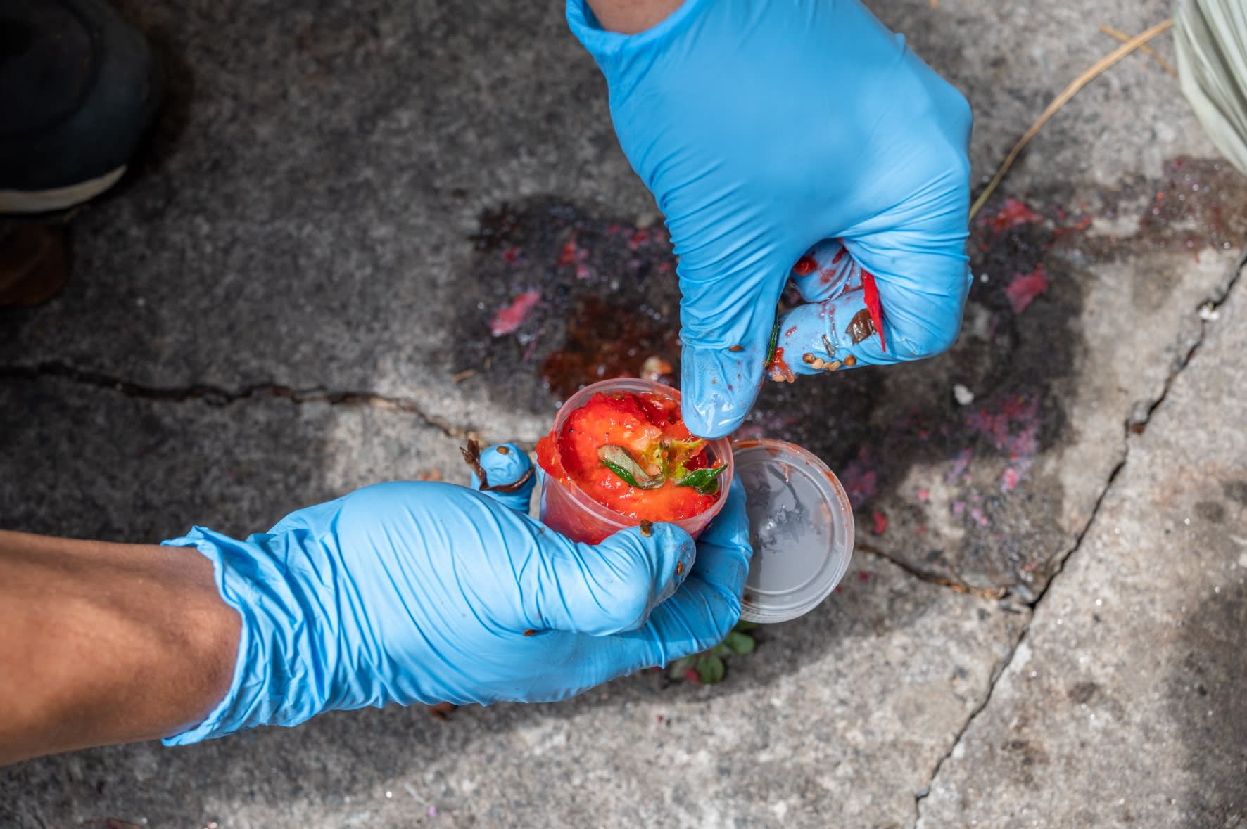 Adán Vallecillo, Pintura mural, São Paulo, 2023