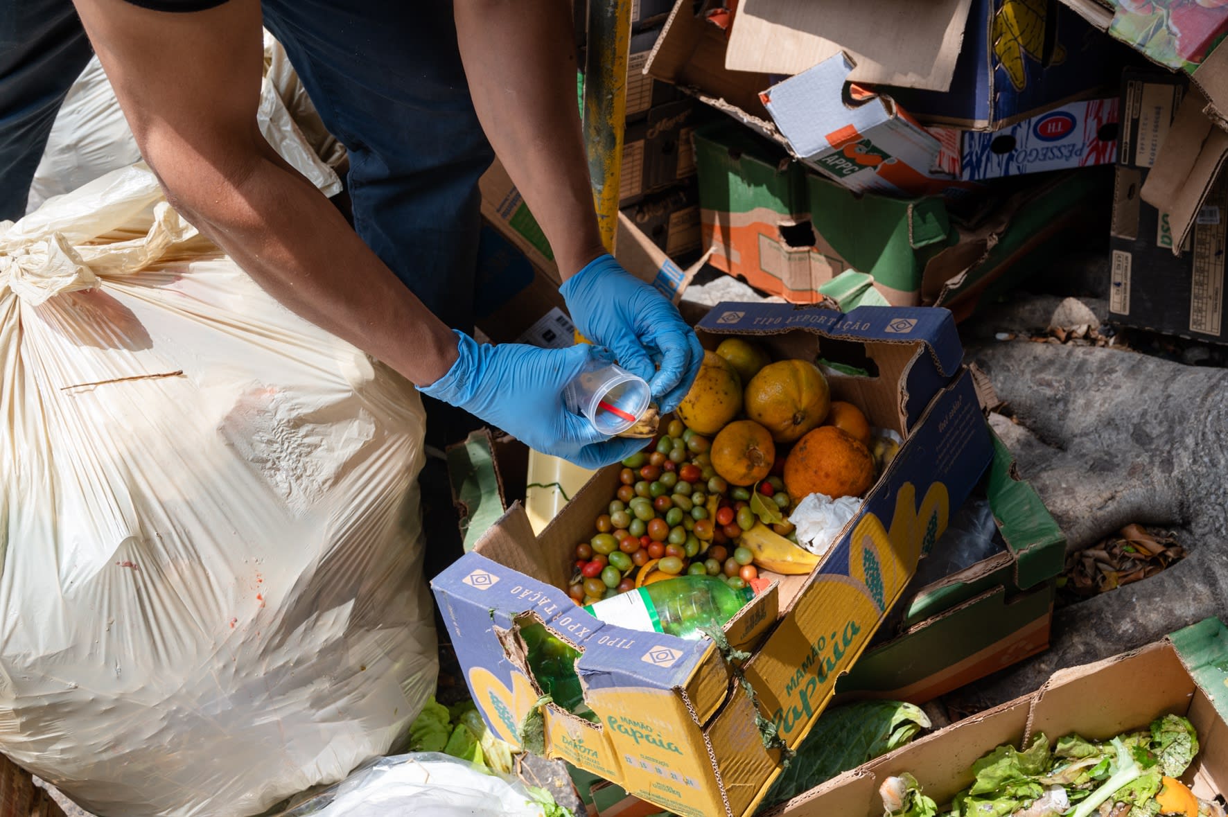 Adán Vallecillo, Pintura mural, São Paulo, 2023