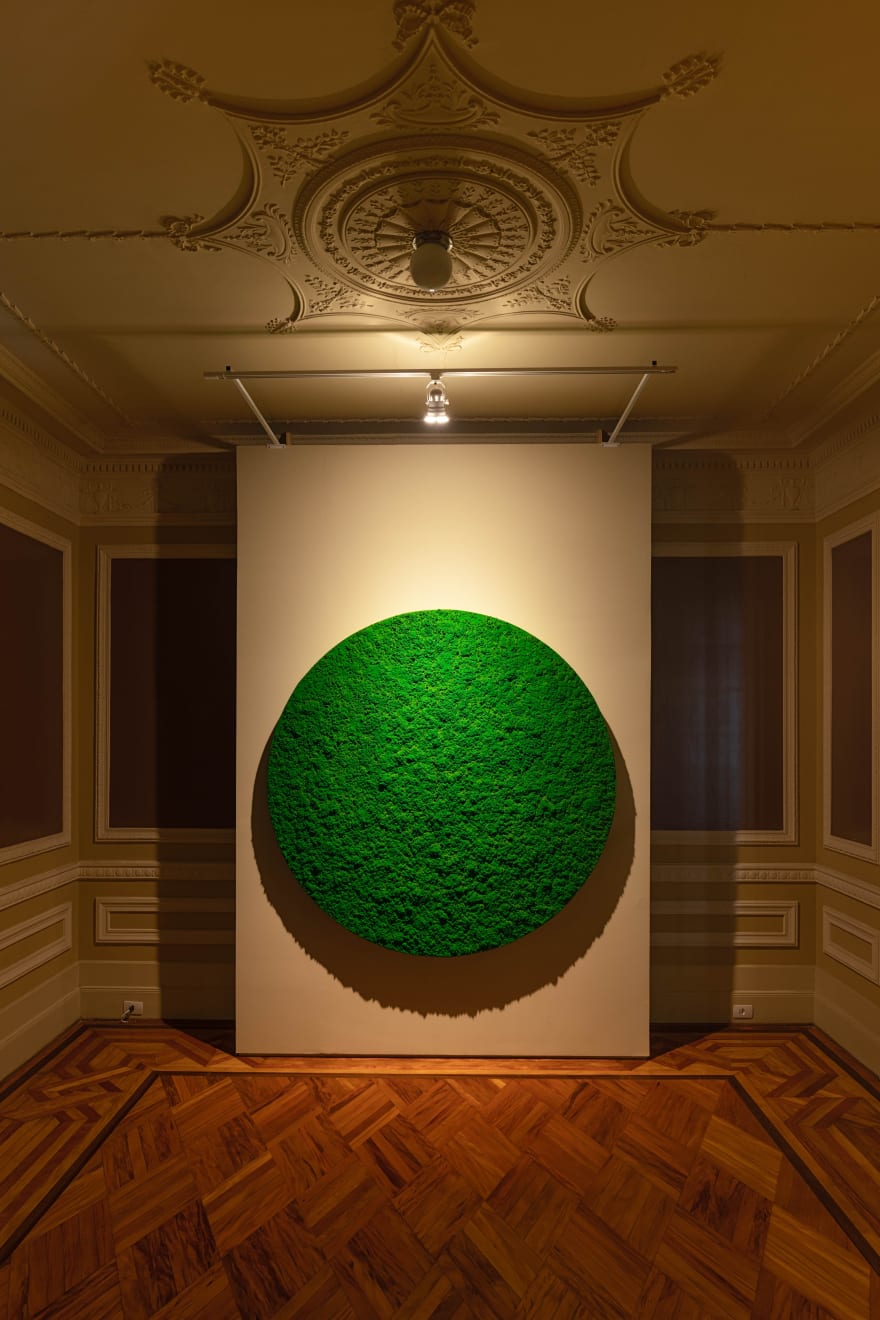 Bosco Sodi, Sem título | Untitled, 2024