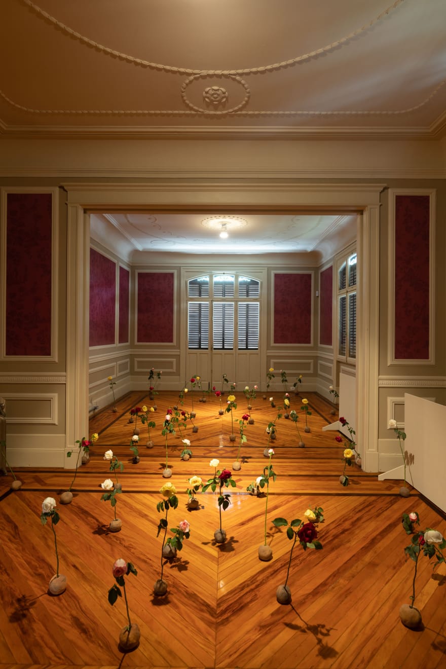 Bosco Sodi, Sem título | Untitled, 2024