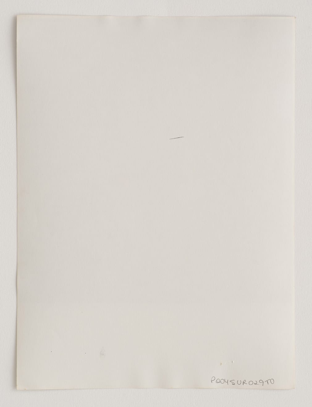 Thomaz Farkas, Sem título