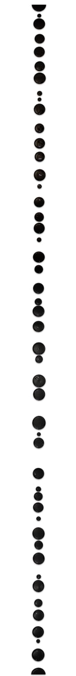Rob Wynne, “Black Line”, 2024