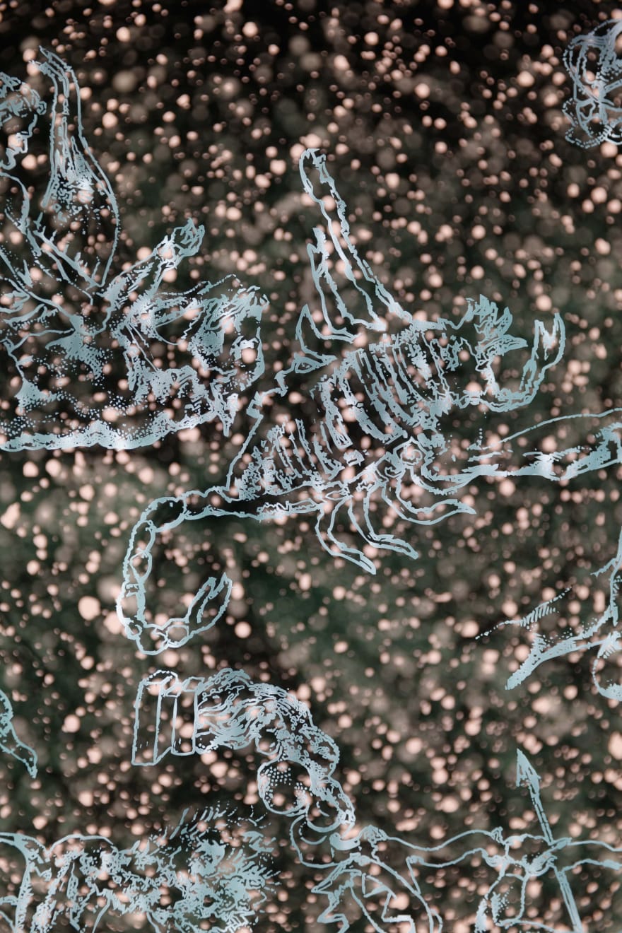 Iván Navarro, “Zodiac Constellations”, 2024