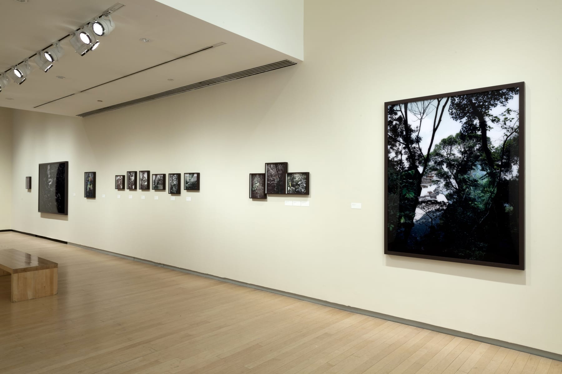 Caio Reisewitz, Boracéia, 2012