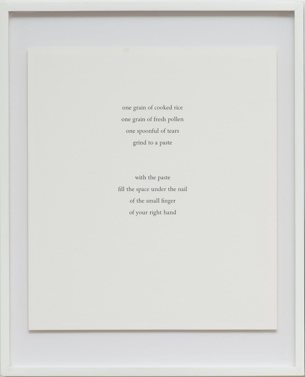 Marina Abramovic, Spirit Cooking , 1996
