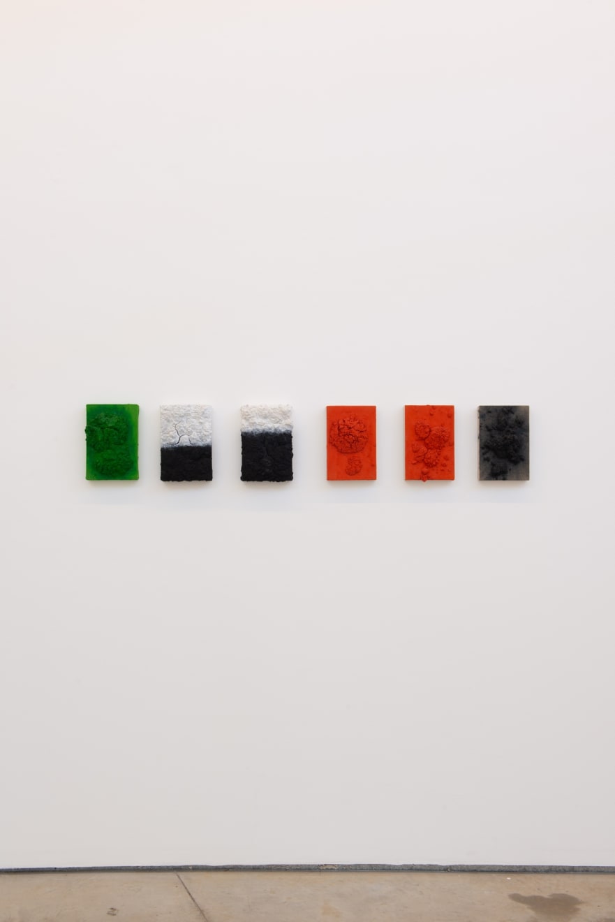 Bosco Sodi, Sem título | Untitled, 2017