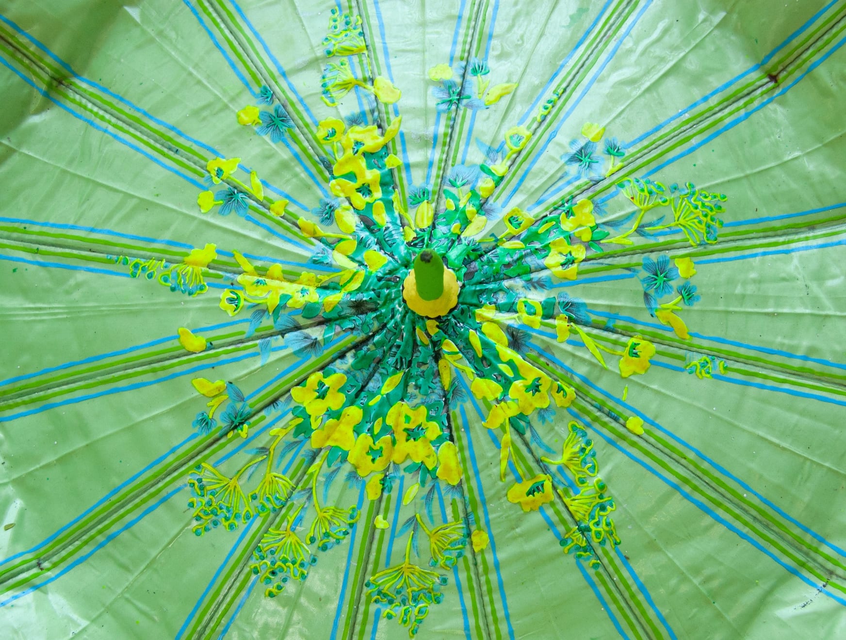 Delson Uchôa, Molécula Clorophila, 2021