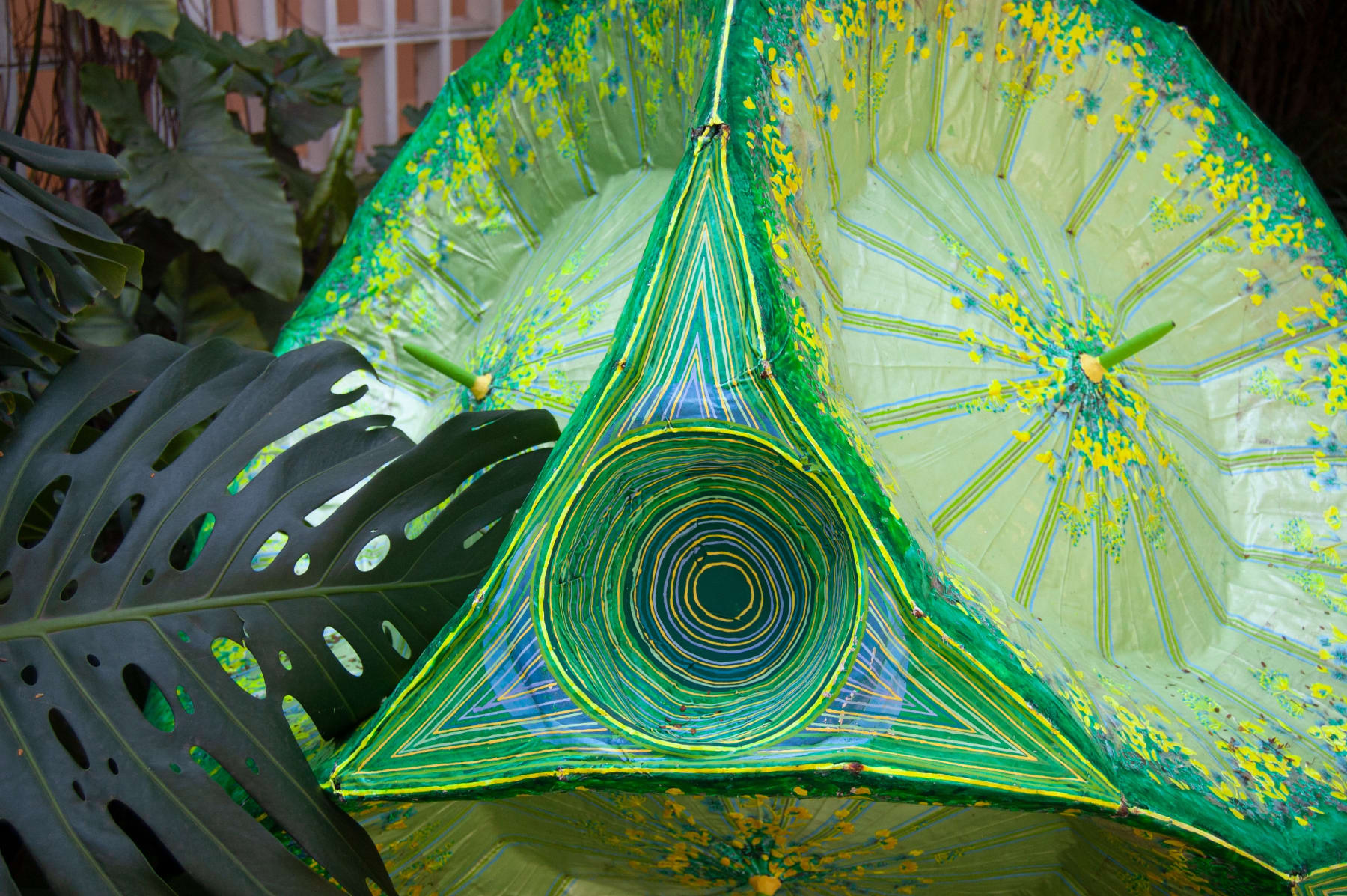 Delson Uchôa, Molécula Clorophila, 2021