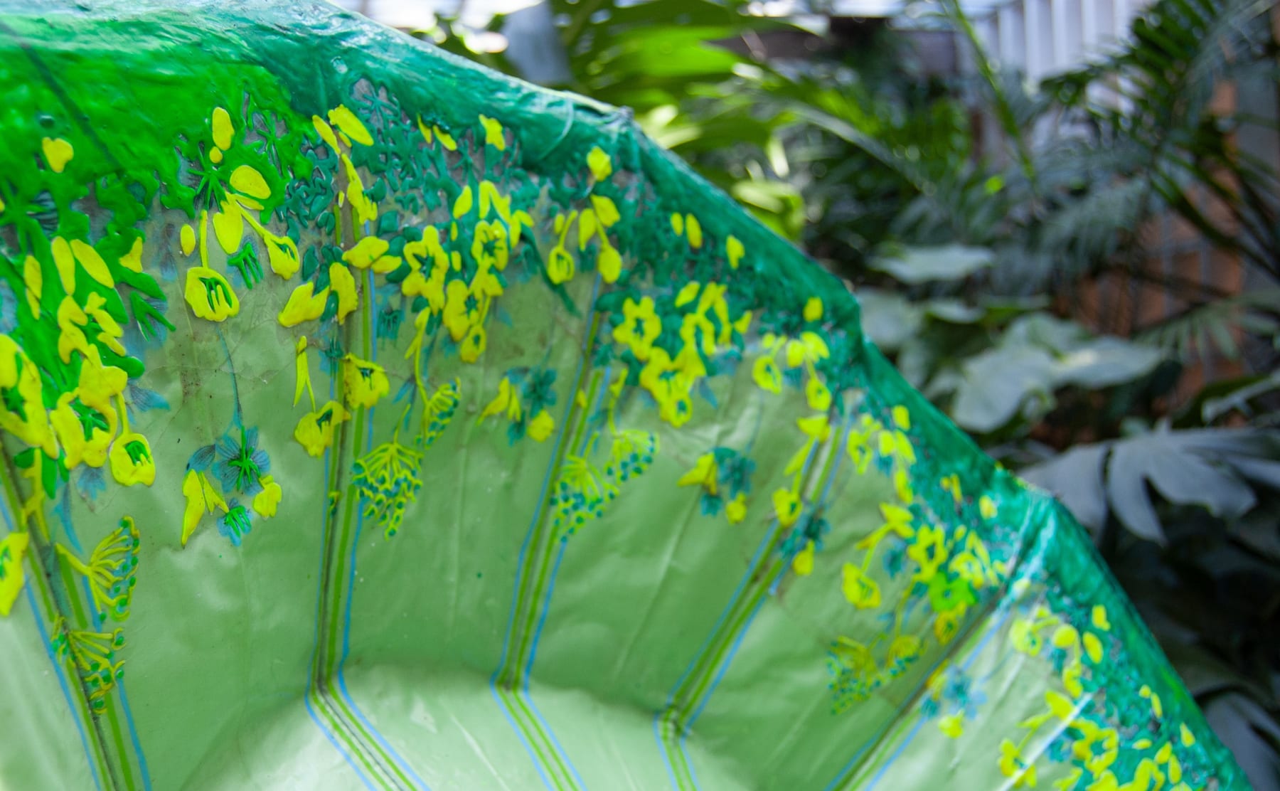 Delson Uchôa, Molécula Clorophila, 2021