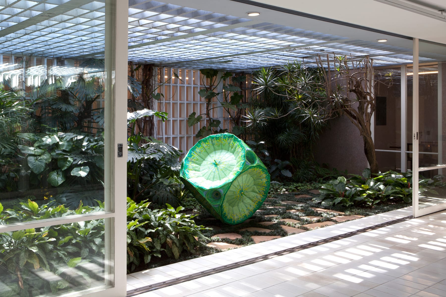 Delson Uchôa, Molécula Clorophila, 2021