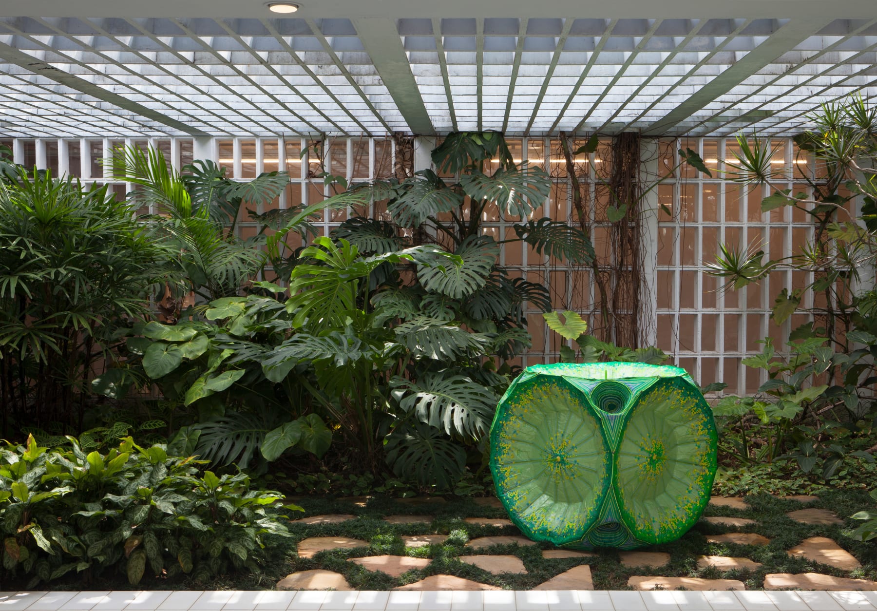 Delson Uchôa, Molécula Clorophila, 2021