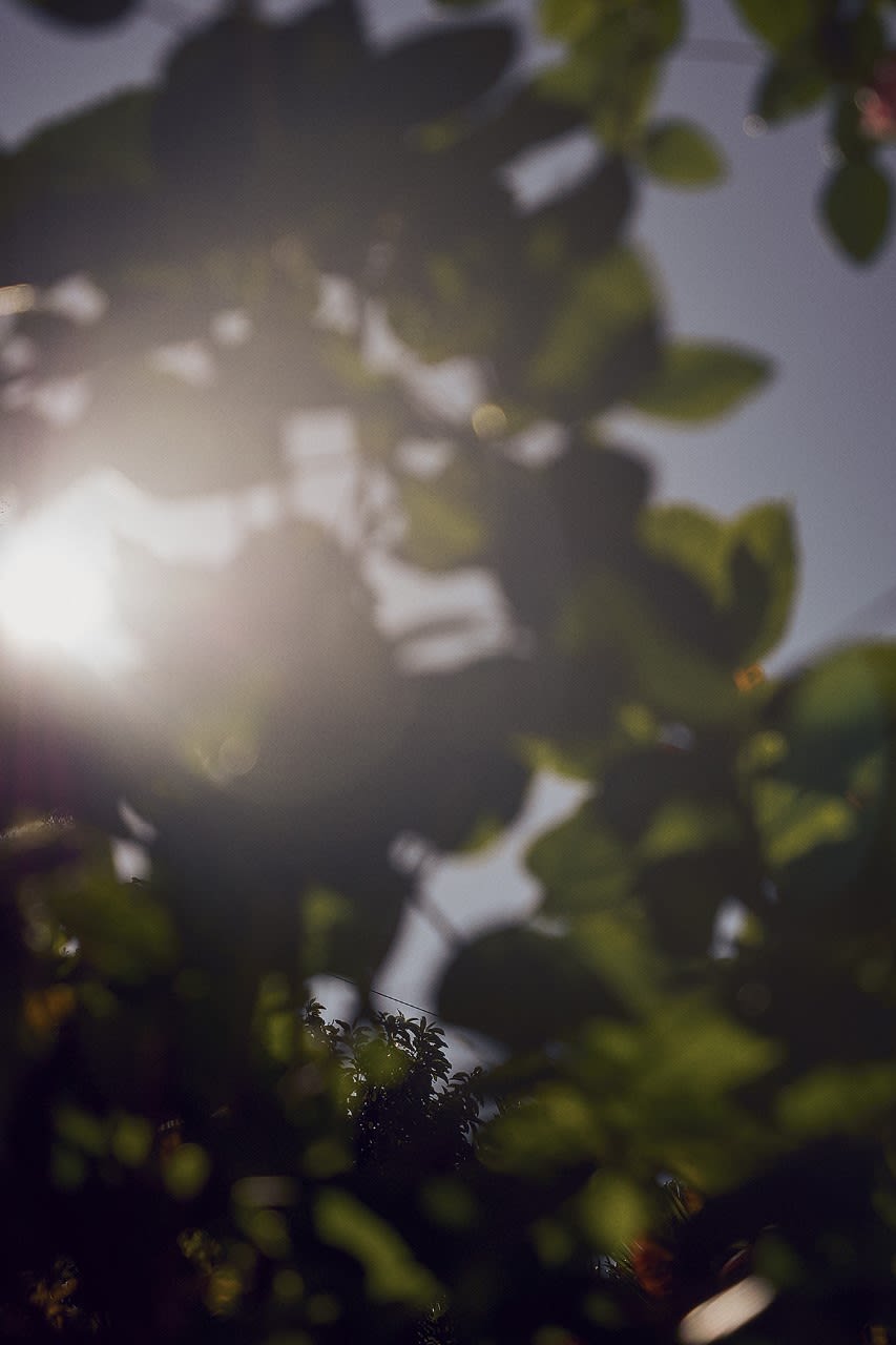 Adler Guerrier, Untitled (A place to stand and stare, recalling tunes of ballads in a minor key) , 2021