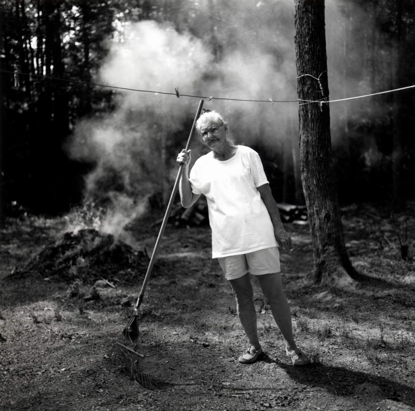 Dave Anderson, Raking, 2004