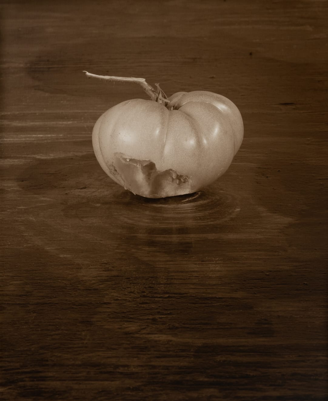 Priscilla Ferguson, Tomato (with bite), 2001