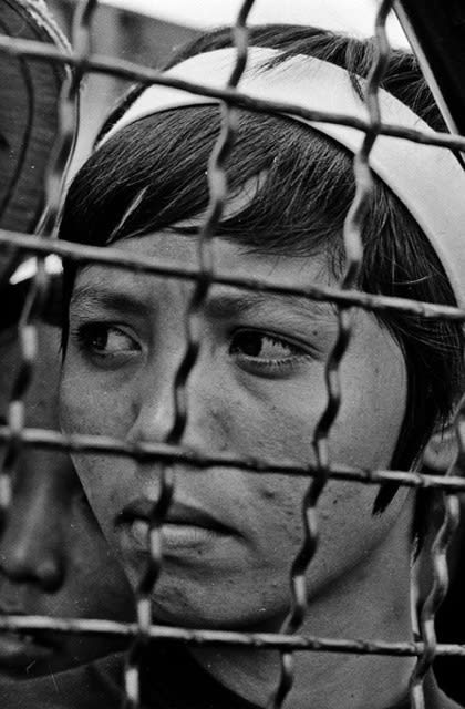 Vietnam by Pulitzer Prize recipient Nick Ut