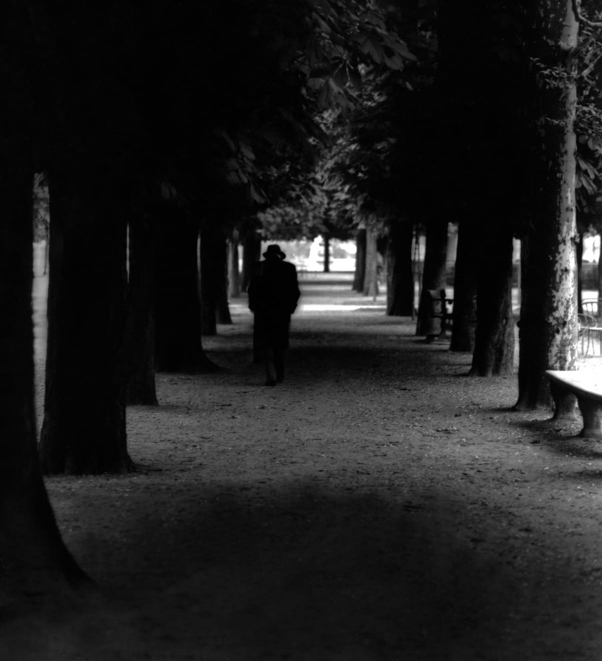 Barry Elz, Paris, 1977 - 1978