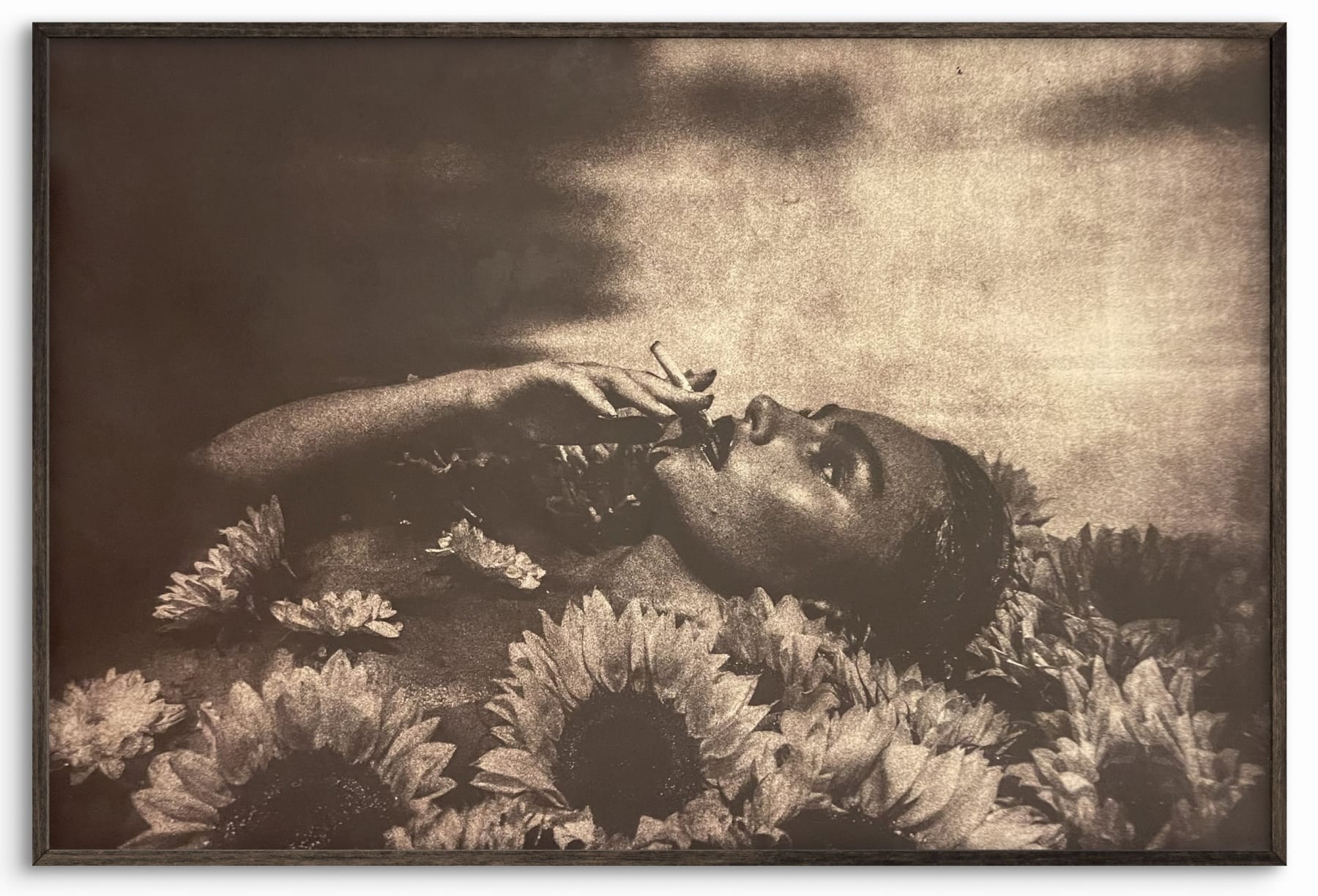 'Serenity' Gumoil , 2025