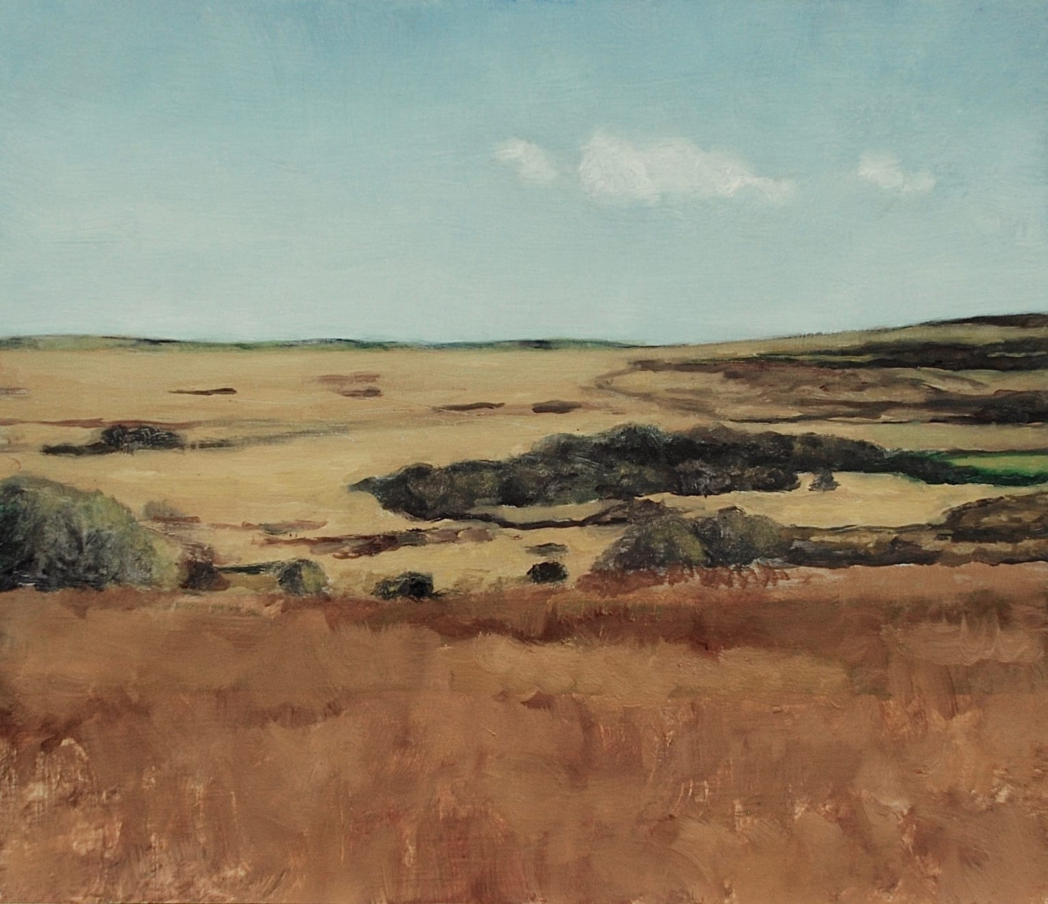 Looking Towards Bosporthennis Common, 2020