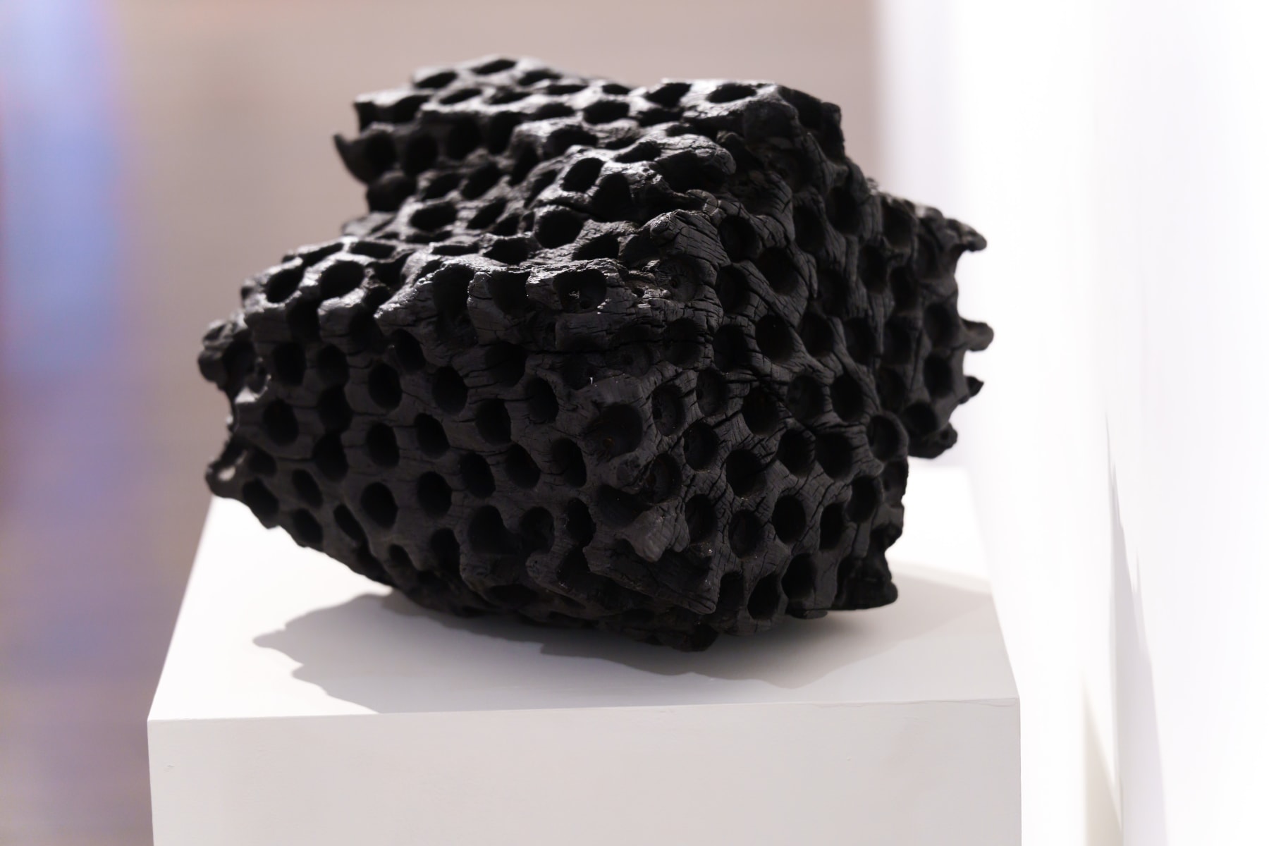 Lawrence Dicks, Birdham Oak, 2025