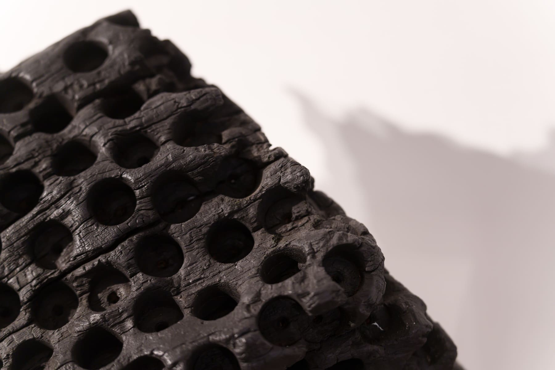 Lawrence Dicks, Birdham Oak, 2025