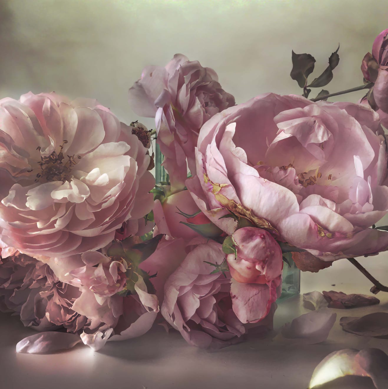 Nick Knight Sunday 11th October, 2015, 2019 Hand-coated pigment print (KNI 001)