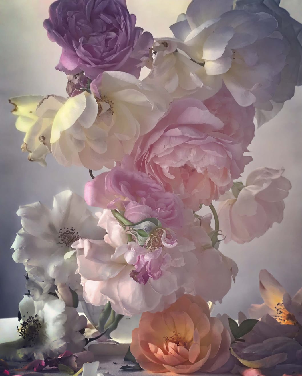 Nick Knight Sunday 25th June, 2017, 2019 Hand-coated pigment print (KNI 008)