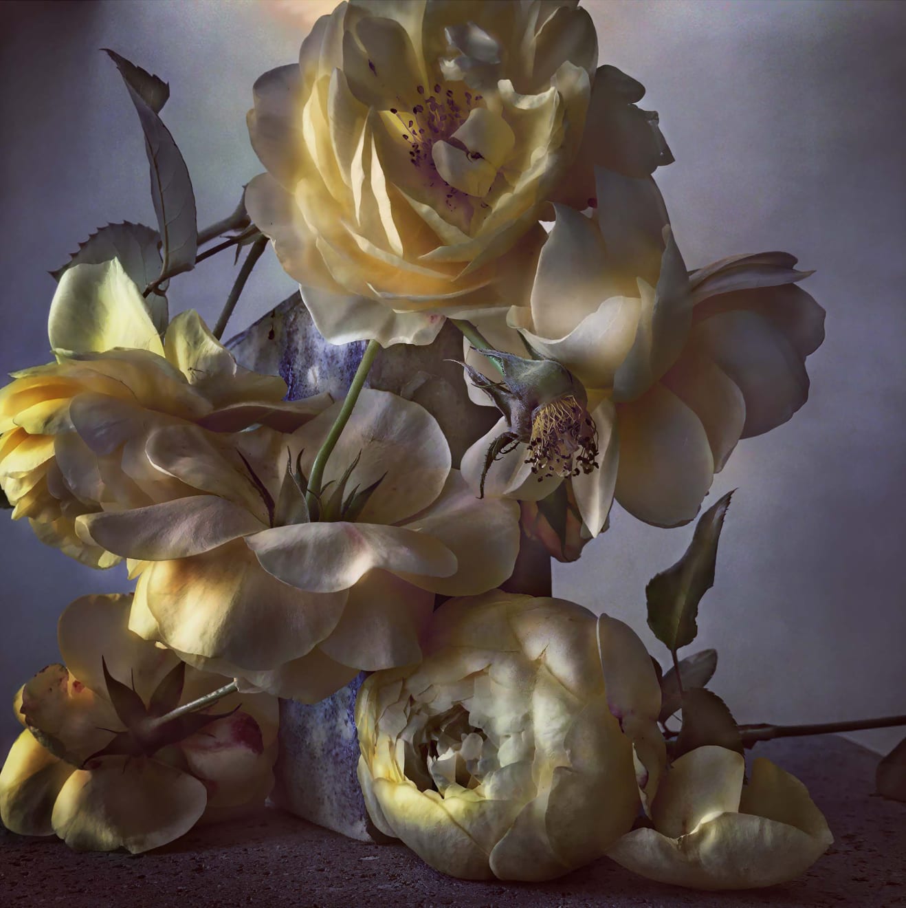 Nick Knight Saturday 24th October, 2015, 2019 Hand-coated pigment print (KNI 009)