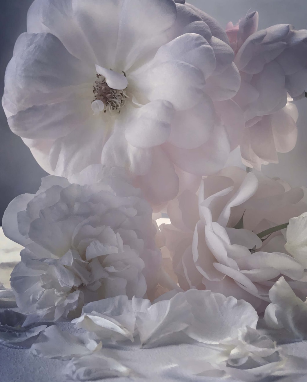 Nick Knight Monday 28th August, 2017, 2019 Hand-coated pigment print (KNI 019)
