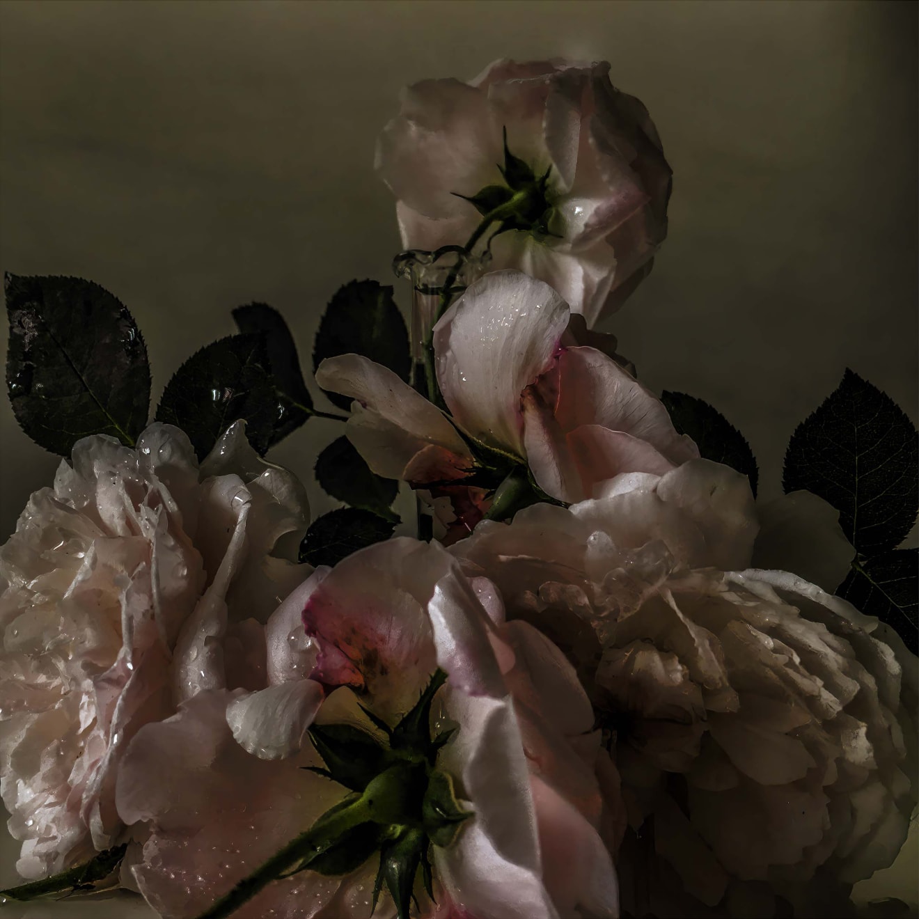 Nick Knight Sunday 9th October, 2016, 2019 Hand-coated pigment print (KNI 023)