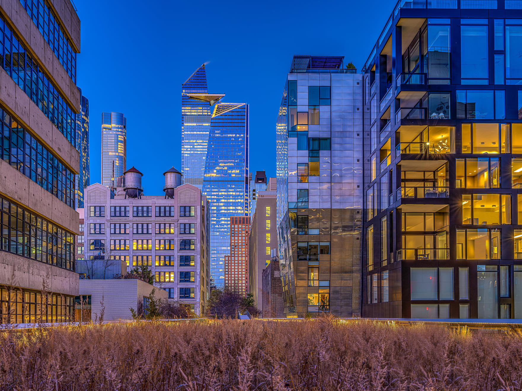 RISING from the GRASS - HIGHLINE, NYC , 2020