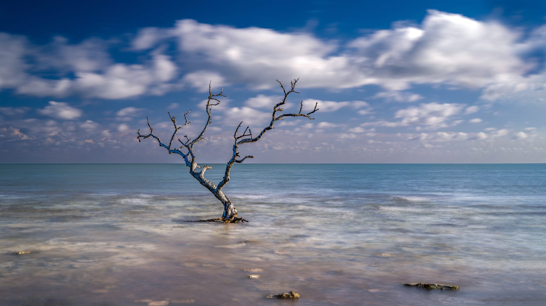 SOLO SURVIVOR PERSPECTIVE IV