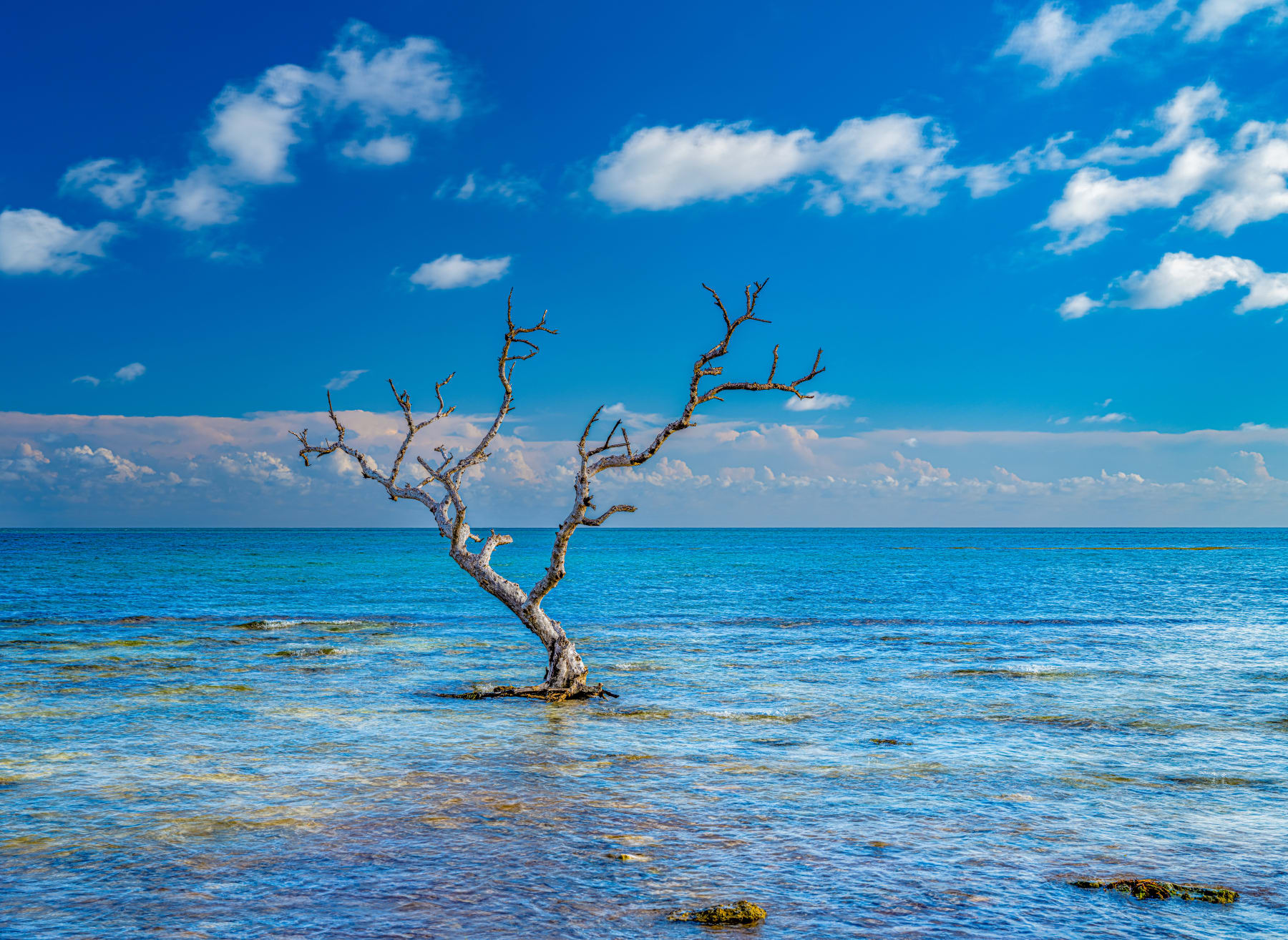 SOLO SURVIVOR PERSPECTIVE III