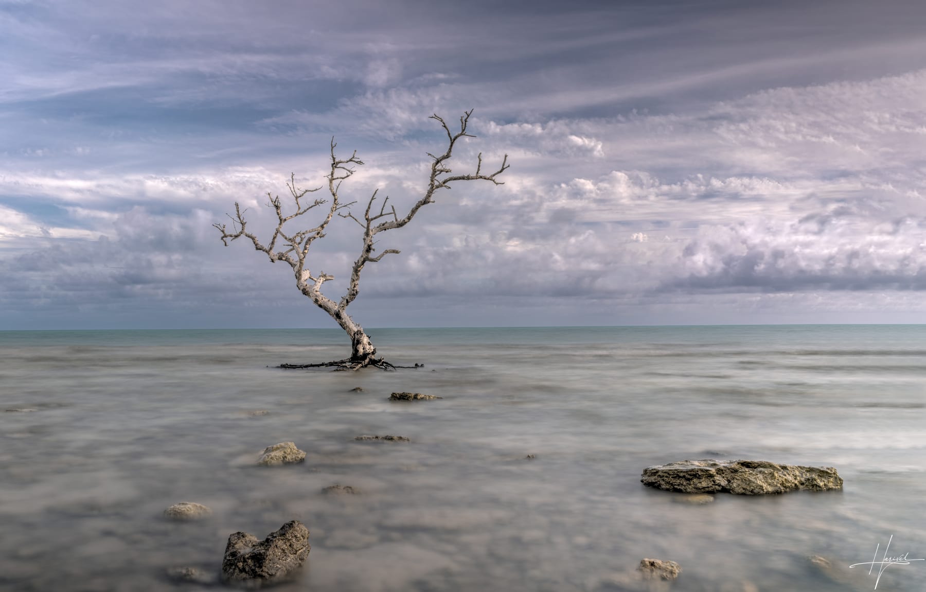 SOLO SURVIVOR PERSPECTIVE II