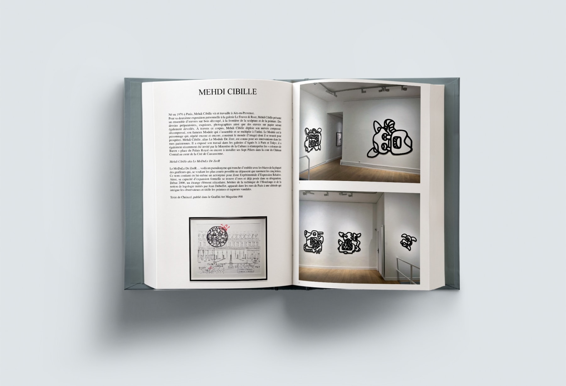 Le Feuvre & Roze Yearbook 2023, Mehdi Cibille, Le Module De Zeer