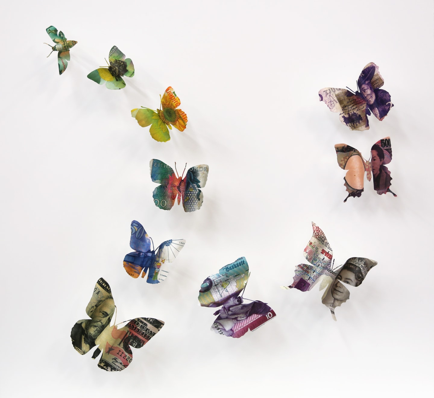 Erika Harrsch, Foreign Development Assistance, 2017