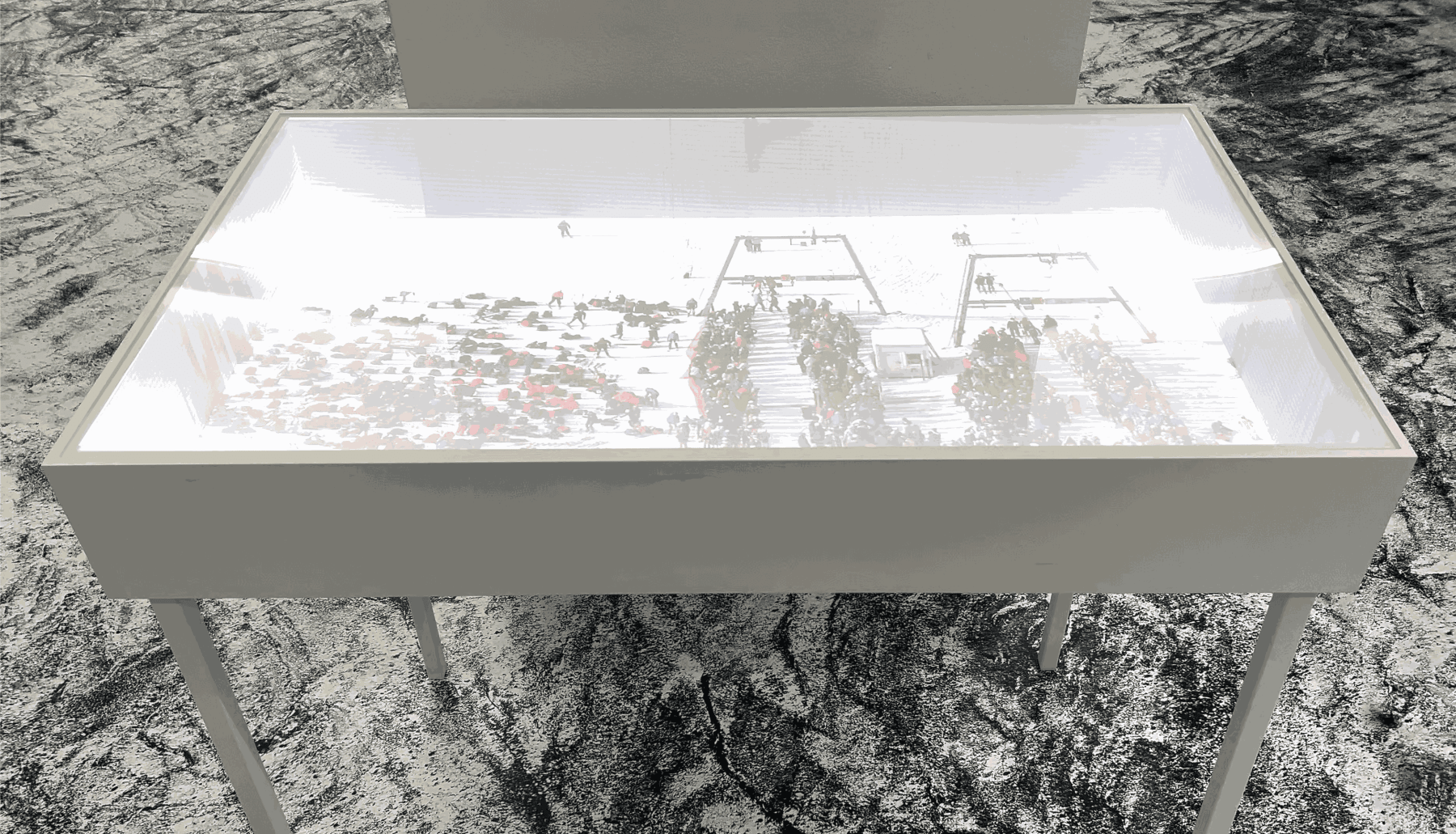 Walter Niedermayr, Usable Surface, 2024