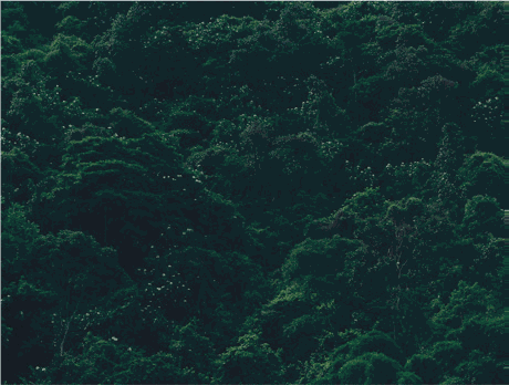 Axel Hütte, La Puerta, Venezuela, 1998