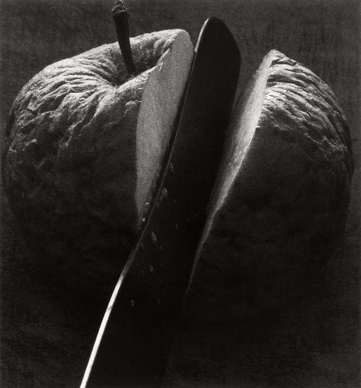 Konrad Rufus Müller, Apfel